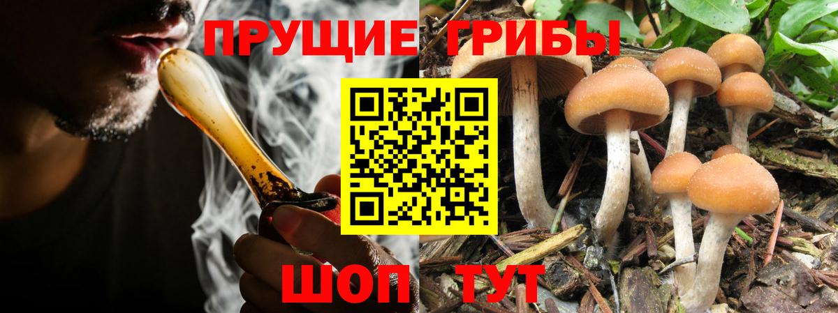 Галлюциногенные грибы ЛСД  Галлюциногенные грибы GOLDEN TEACHER  Фролово  Вход с VPN 